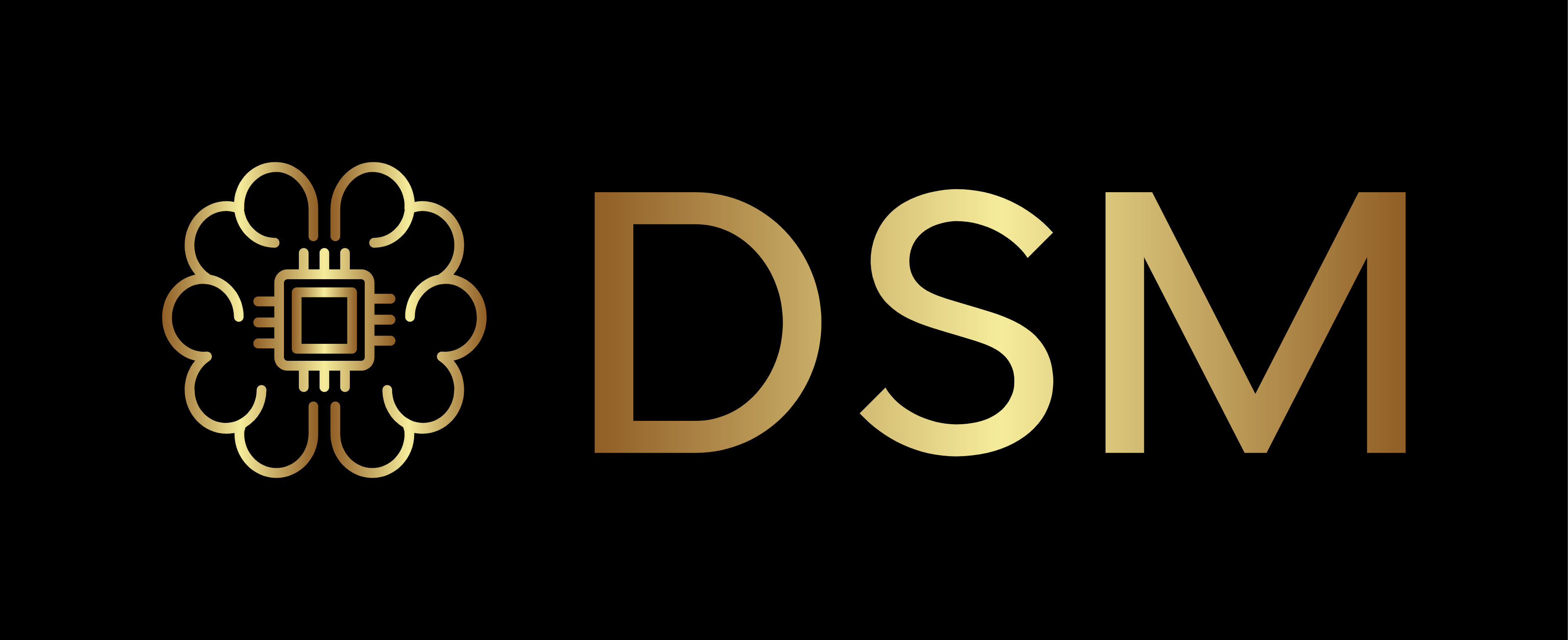DSM Logo